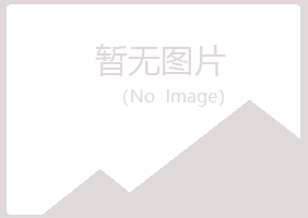 阳明区伤口水泥有限公司